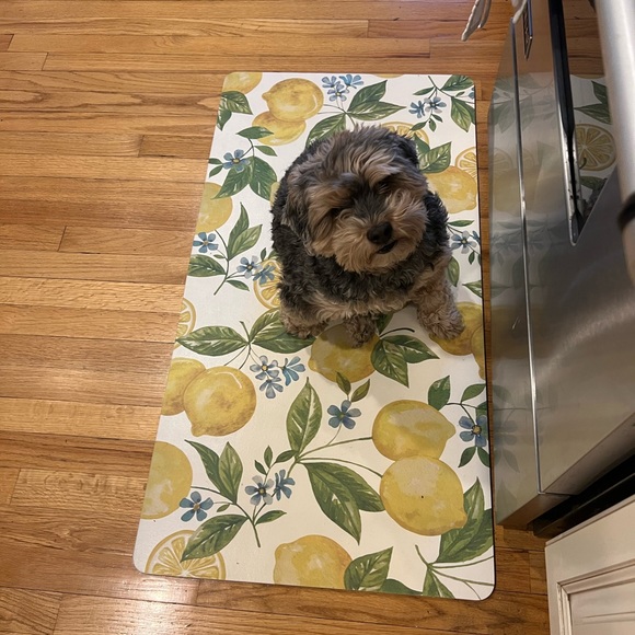 Meet your Posher, Melissa - Picture 1 of 1